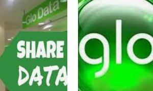 Glo Share Data Code