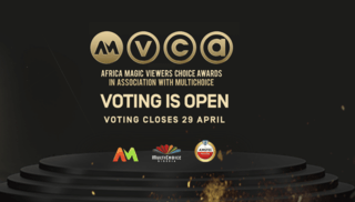 AMVCA 2022 Voting